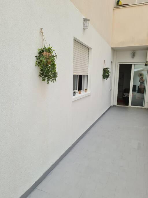Beautiful Apartment With Patio Torrevieja Exterior foto